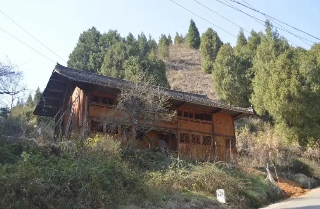 1697438081195.jpg 614f7d8b32f7a70a395091b591919954.jpg